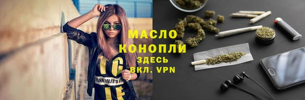 гашик Дмитровск