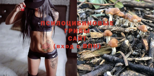 ПСИЛОЦИБИНОВЫЕ ГРИБЫ Дмитров