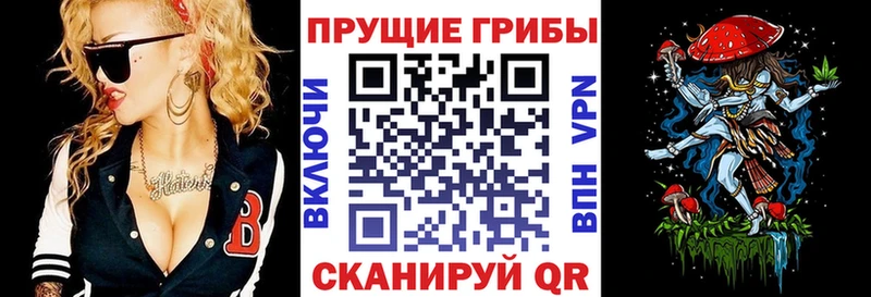 Галлюциногенные грибы прущие грибы  магазин продажи наркотиков  Спасск 